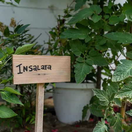 فندق مبيت وإفطار Il Granaio Celeste 3*