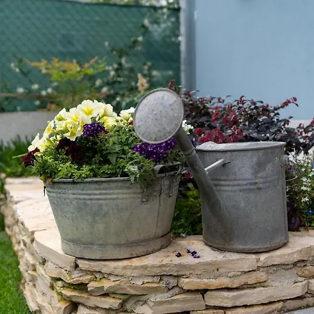 Il Granaio Celeste Bed & Breakfast