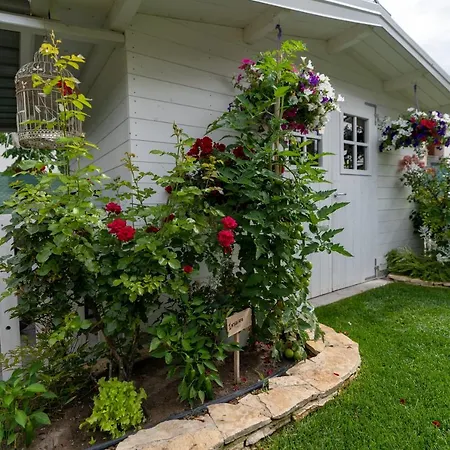 Il Granaio Celeste 3* Porto Viro