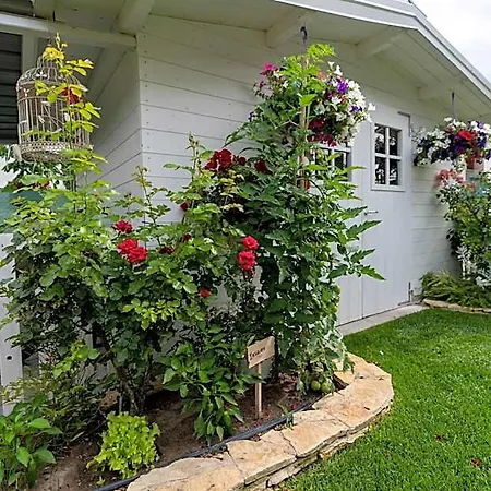 Il Granaio Celeste Bed & Breakfast 3*