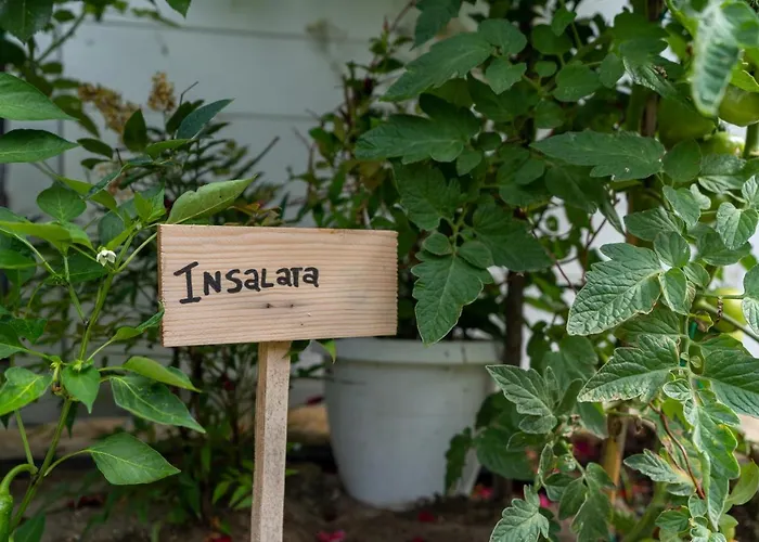 Couette-café Il Granaio Celeste 3*